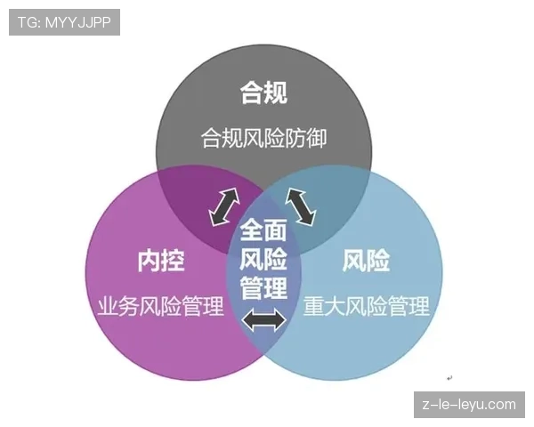 顶级内部控制廉洁风险防范：他是如何通过权限分离约束的